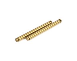 TLR2054 Rear Outer Hingepin (2): 22